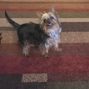 Meet your Posher, Inga